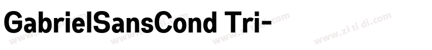 GabrielSansCond Tri字体转换